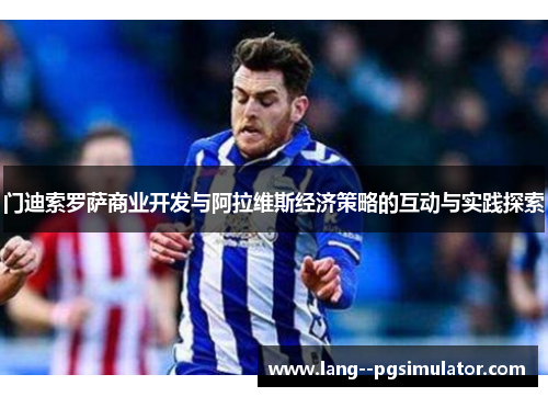 门迪索罗萨商业开发与阿拉维斯经济策略的互动与实践探索