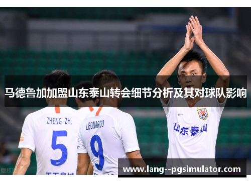 马德鲁加加盟山东泰山转会细节分析及其对球队影响