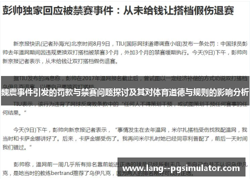 魏震事件引发的罚款与禁赛问题探讨及其对体育道德与规则的影响分析