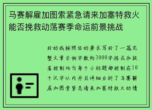 马赛解雇加图索紧急请来加塞特救火能否挽救动荡赛季命运前景挑战